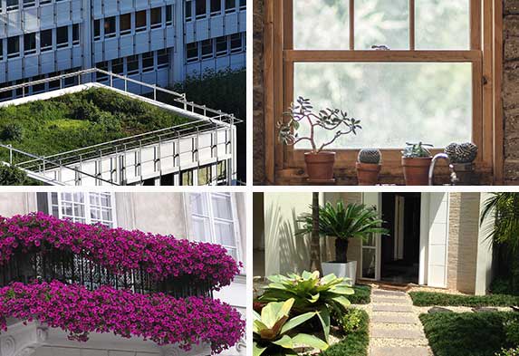 Post-ideas-para-hacer-un-jardín-Jardines en azoteas y techos Jardines de Ventanas Jardines de balcones Jardines de entrada casas. Neea-Flora
